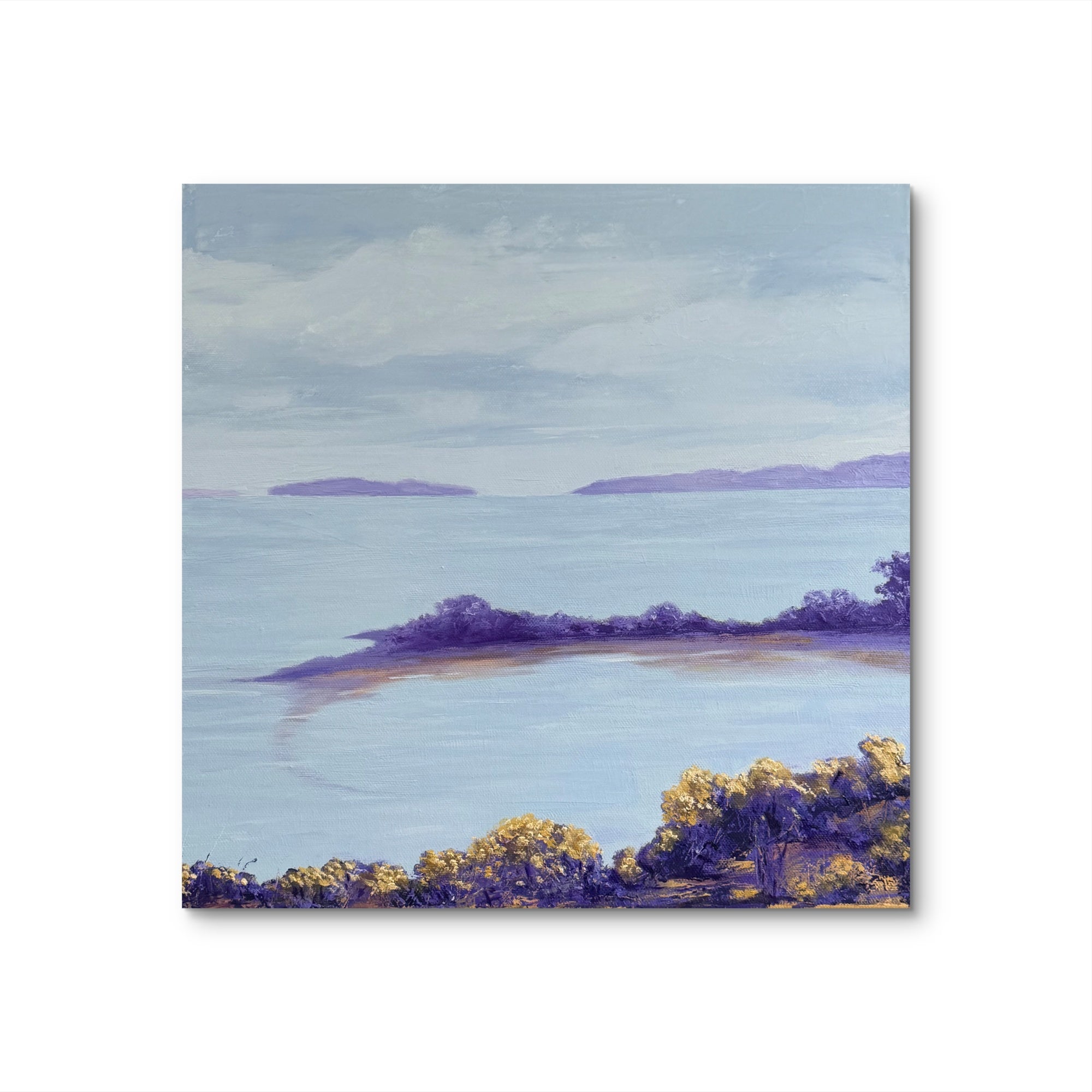 Gorse in the quiet light.